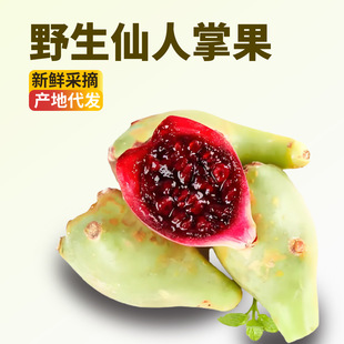 ���������ƹ��� ����������Ϸ�Ұ������������Ҋ�Ꭷˮ��ʳ��