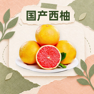 �������a���� һ�����l3/5/9��t�ļt�������֭�����r�����rˮ��