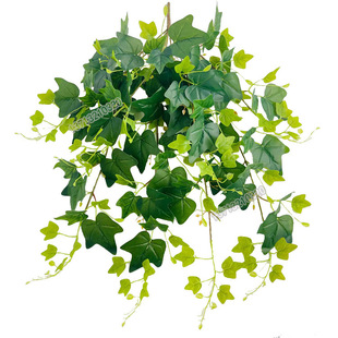 ����ڒ��ٗl�ٻ�ֲ��Gֲ�͏d�����b� �ع��~���~�����ϻ��辰