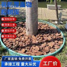 ��Ƥ����ɘ�Ƥ�l�͸������[��Ѩ���@���������ЙC���w��