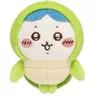 Sunfish turtle