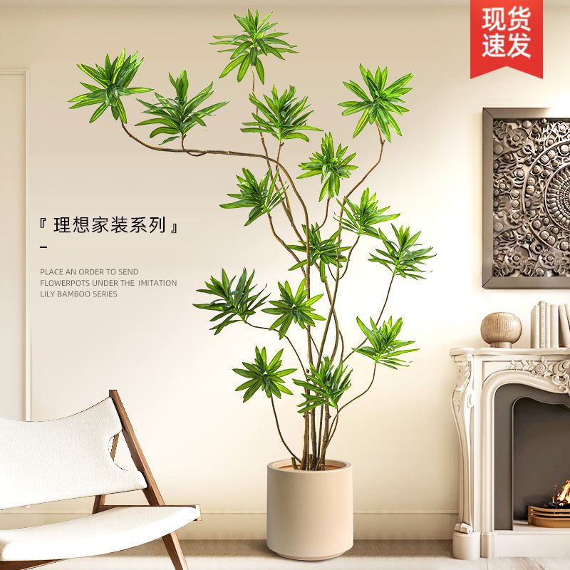 商品图