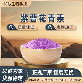 紫薯花青素 紫薯花色素 / 甙 优质紫薯提取物 天然提取 多规格