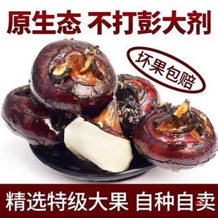 ���rݩ�j�R�������������r��ˮ���߲��R����F�ڿ����l�������l