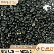 ���ɏS�����l�ڶ� С���ڶ����r���Ԯa�ڶ�  ����s�Z�ּZС�ڶ�