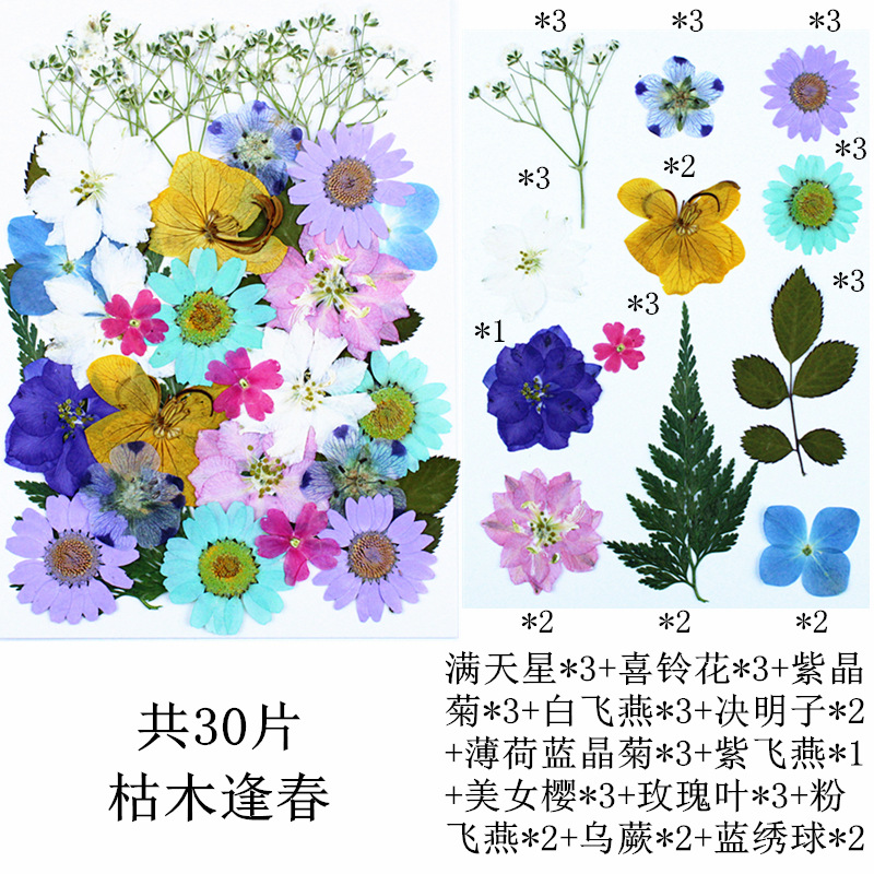 데드 우드가 봄을 만나다