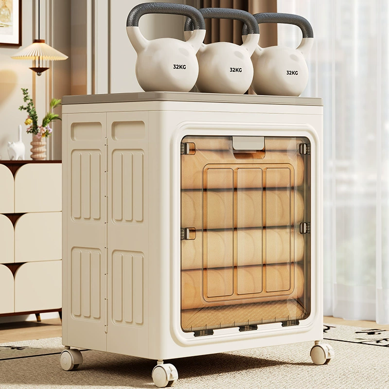 Foldable Storage Box, 56×38×66.5 cm, Single or Double Door, Solid or Transparent