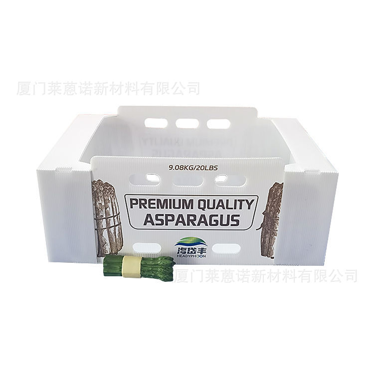 Caja de frutas y verduras de placa hueca pp personalizada plegable impermeable frutas y verduras frescas de transporte de cadena de frío Caja de plástico de calcio image 35