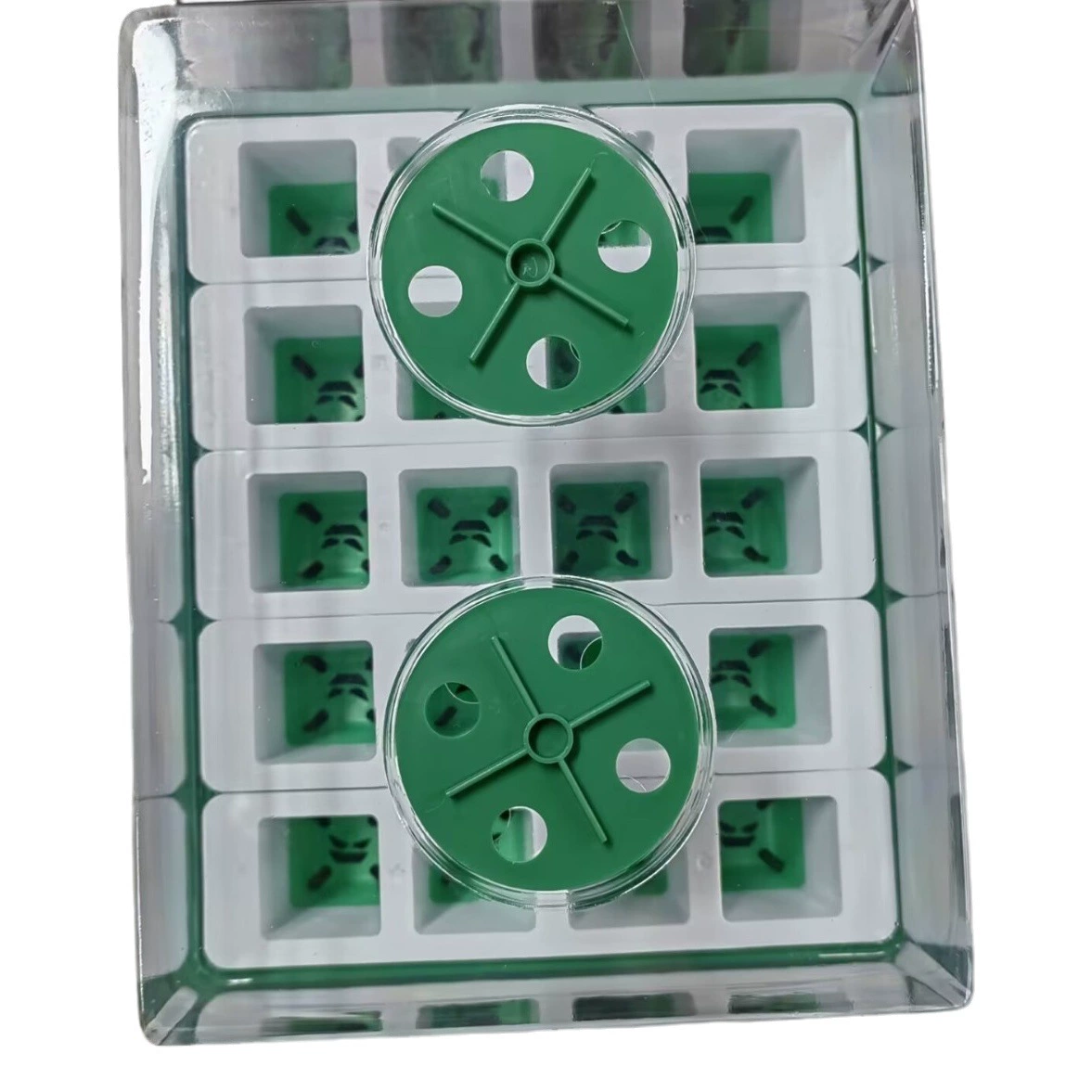 Внешняя торговля Лучшие продажи фабрики частные формы 20 отверстий лучшие продажи силиконовые рассады бассейна + 2 комплекта/4 костюм рассады бассейна рассады набор