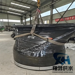 DN200法兰式橡胶鸭嘴阀止水阀防回流防倒灌管道排污XH81
