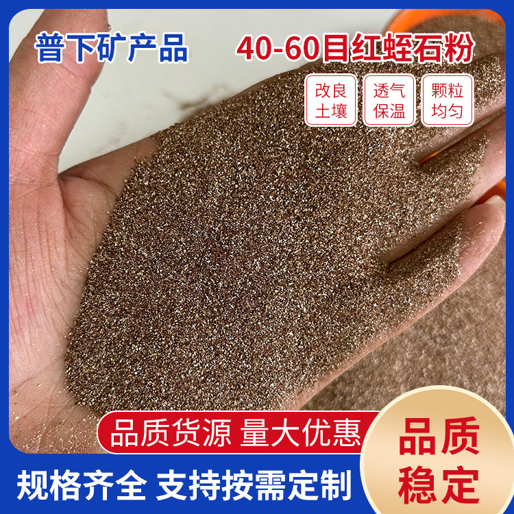 Vermiculite breeding seedlings Cutting garden art turtles…