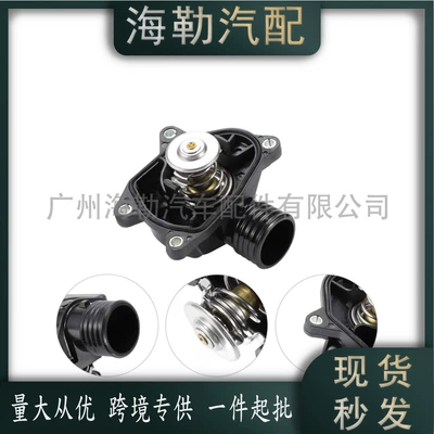 PEM100570 Thermostat Thermostat
