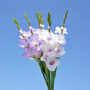 ���愦�m �ҾӔ[��ܛ�b�b��滨�ٻ��Ƶ�zӰ��c�������ѻ�