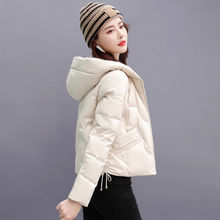 OӋqŮ̿2025¿rСpq