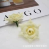 Champagne color