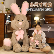 �羳���������ô�̖������ż���˹���ë�q��߿ɐ۲�����Ů���Y��