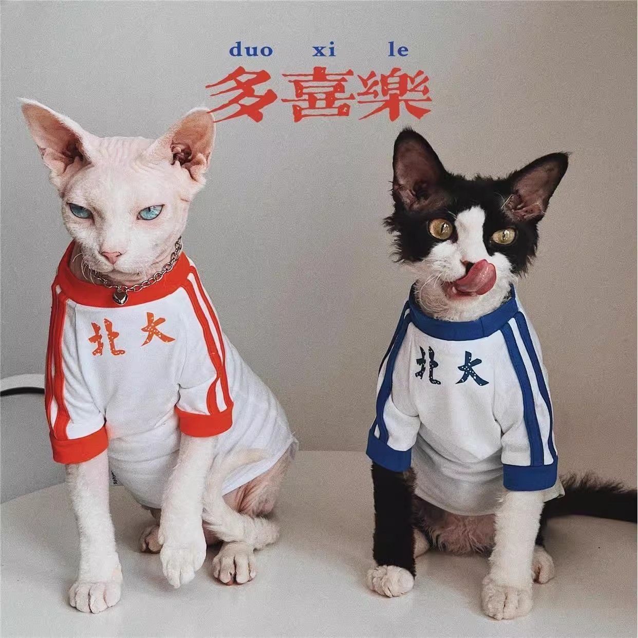 详情图