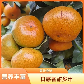 方便面类;膨化;传统糕点