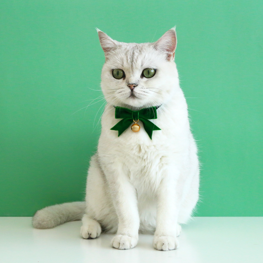 Elegant Polyester Christmas Solid Color Bow Knot Pet Accessories display picture 4