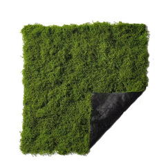 1メートル * 1メートルの対外貿易卸売りはコケの造景を模擬して草の皮の偽の苔の微景観をまねて芝生の盆栽を配置します。