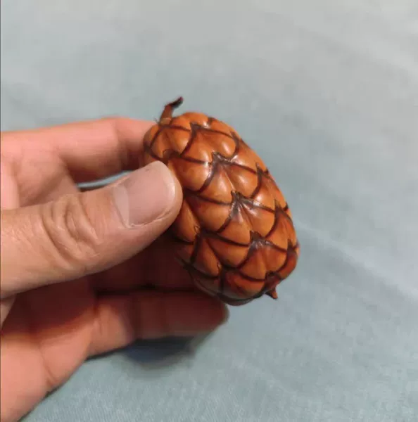 [酒椰果1个]
