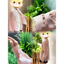 10ķ�׷�ɫ�¹��Ứ�W����~����z���ϵķ����͸��������Ů�b��