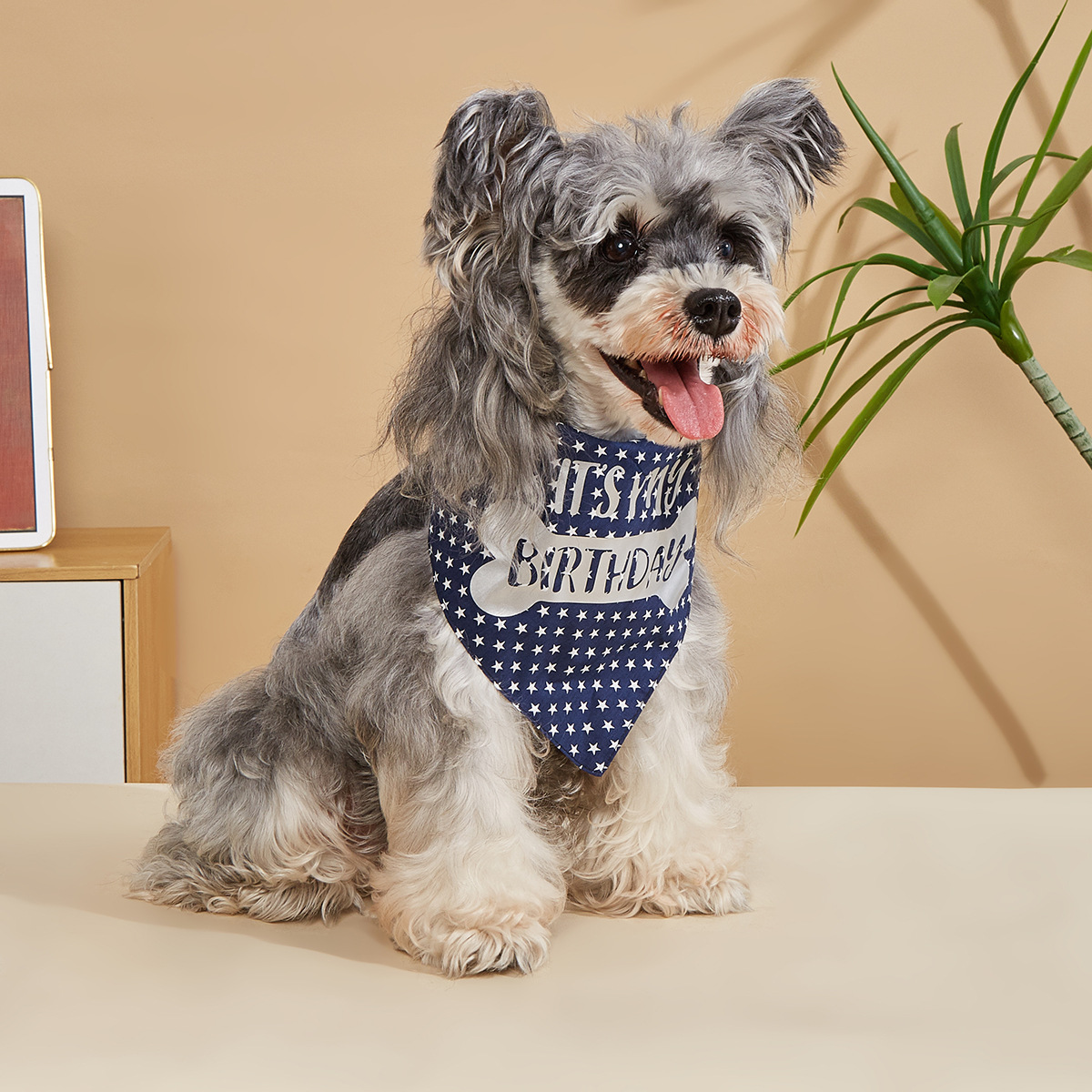 Toalla triangular de cumpleaños para mascotas de venta caliente de nuevo estilo transfronterizo, estrella de cinco puntas, toalla de saliva para mascotas, bufanda de cumpleaños para mascotas