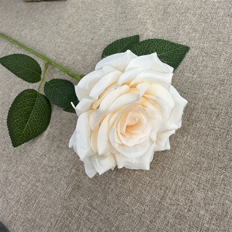 ROSE SINGLE ROSE CHAMPAGNE