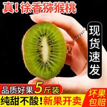 陝西周至獼猴桃10斤奇異果新鮮當季孕婦水果綠心彌猴桃非徐香整箱