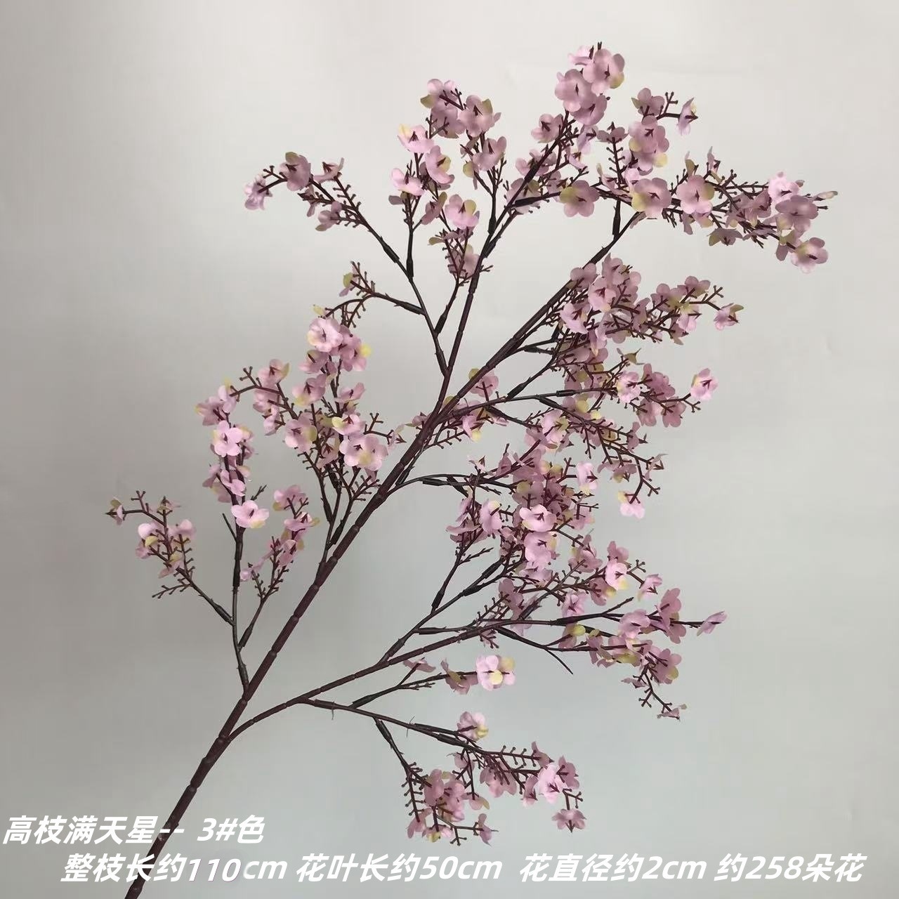 높은 가지 안개꽃 3 # 색깔