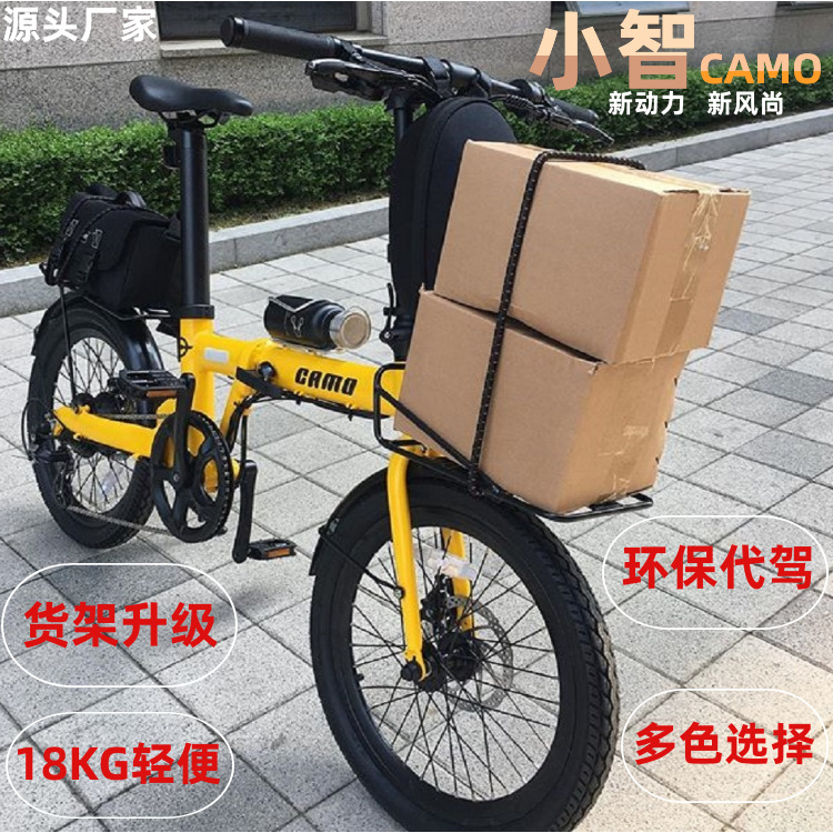 NETZSCH 20 Exit fold Electric Bicycle Electric vehicle adult lithium battery Motorcycles intelligence Substitute driving