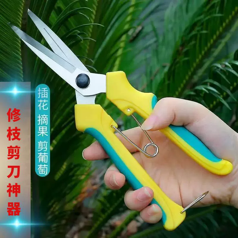 Секаторы, ножницы для сбора винограда, садовые ножницы, ремонт веток, специально для ежедневного ухода