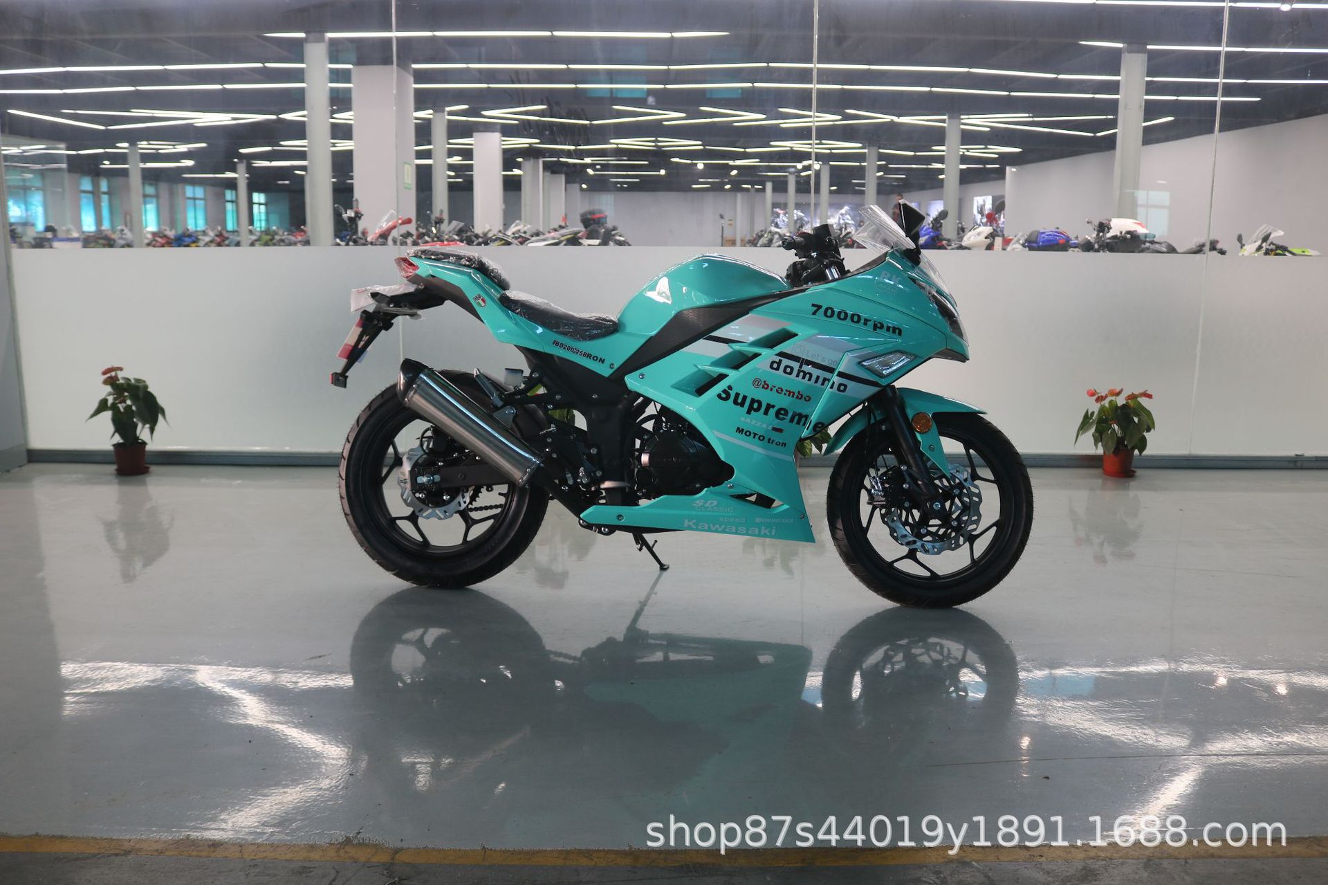 License-able motorcycle Kawasaki Ninja, twin-cylinder racing replica, Horizon sportbike, adult gasoline-powered sportbike, complete vehicle
