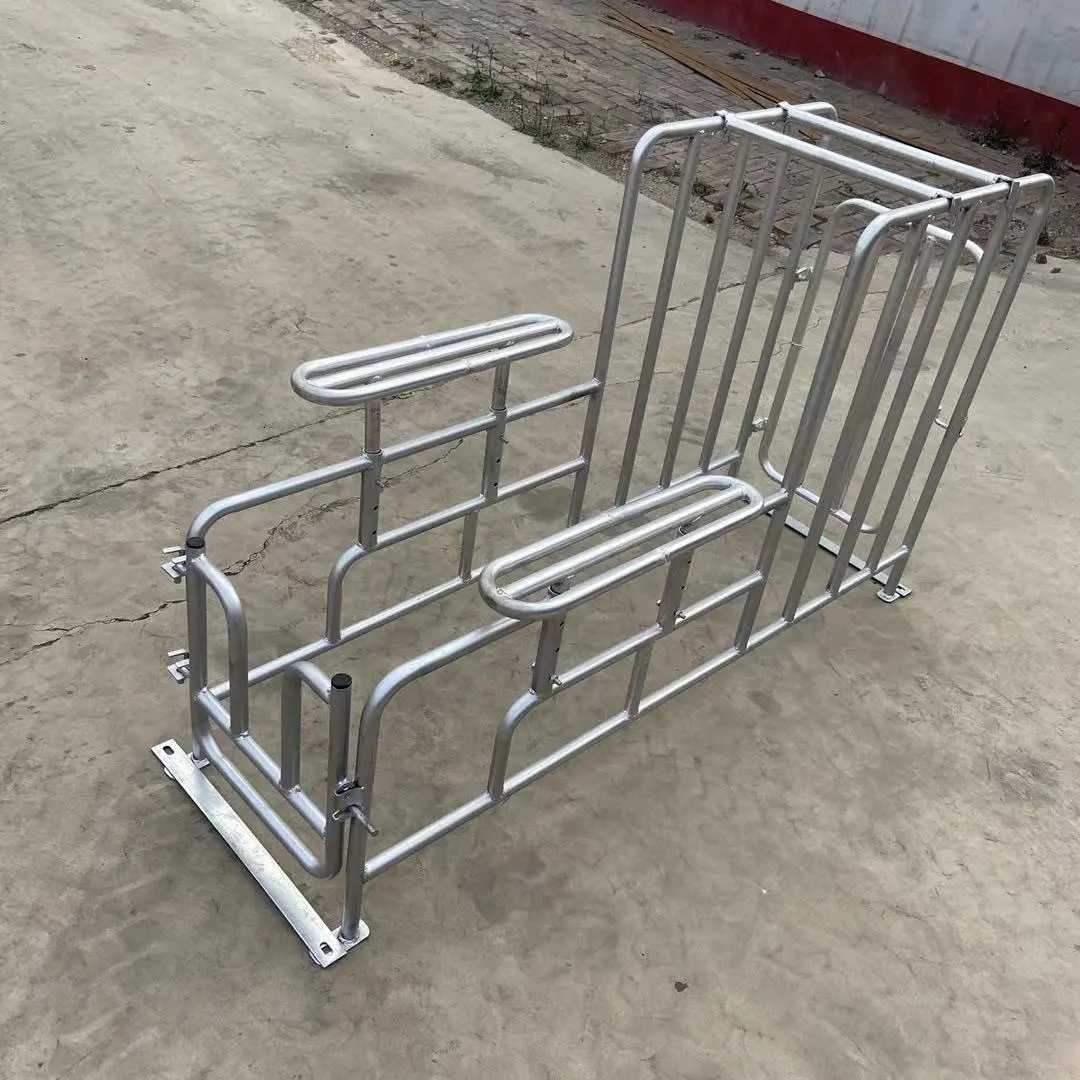 Rack de semilla de cerdas elevación rack de semilla de cerdo pie bajo rack de semilla de suelo galvanizado en caliente soporte de recolección de semilla