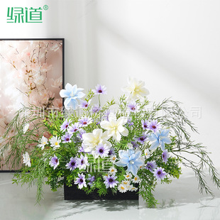 ��HC-CZ8ϵ�С����滨��ֲ�ﻨ���҃Ⱦ��^�쾰�e�������b[��