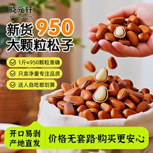 东北新货开口松子950大颗粒手剥坚果休闲零食薄皮松子产地直发