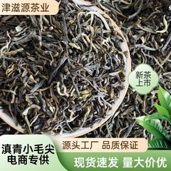 2025新茶茶饮专用滇青小毛尖茉莉雪芽坯散装优质绿茶