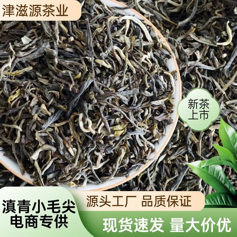2025新茶茶饮专用滇青小毛尖茉莉雪芽坯散装优质绿茶|undefined