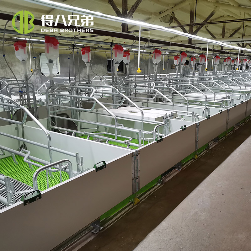 Granja de cerdos cerdas de parto elevación cama de parto galvanizado en caliente resistente a la compresión y resistente al óxido espacio ajustable personalizado