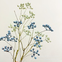 ���� ��֦�{����ĭɽ�w�����Ӱlؔ����ʽ�⾳�b��{ݮ���ٻ����l