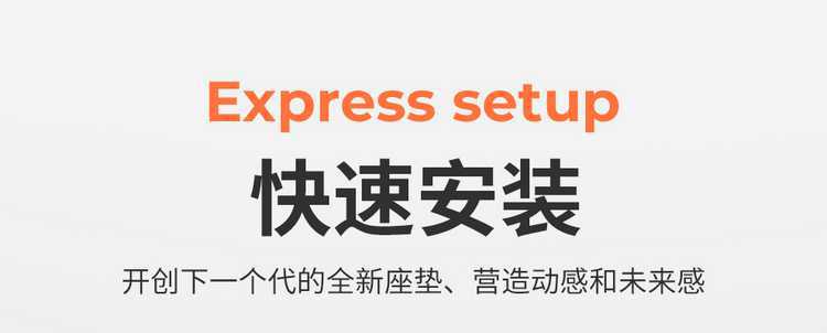 2625 model Qin PLUS DM-i Smart Driving Edition custom car seat cover, suede saddle cushion seat pad