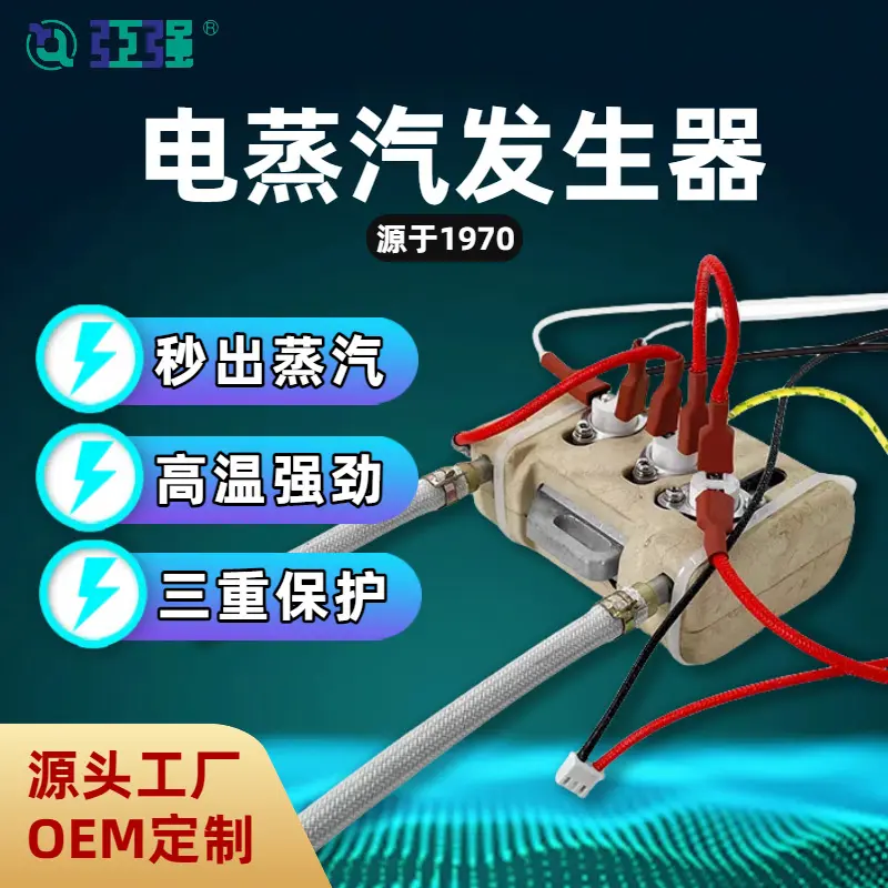 新一代电蒸汽发生器即热式发热体强劲蒸汽小型迷你多功能蒸汽机