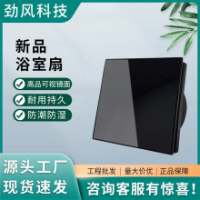 �ǿ���˫���С�ͻ����ȣ���Ʒ���������˹4��5��6��110-240V