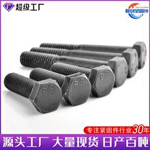 六角8.8级高强度螺栓发黑碳钢六角头加长 高强度外六角头螺丝