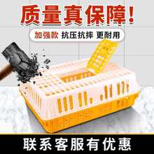 运输鸡笼加厚成鸡周转箱特大周转筐鸭鹅鸽子笼用鸡筐塑料养殖场