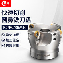 EMRP CNCR5/R6 50/63/80/100㊵P EMRW_ֈAǵP