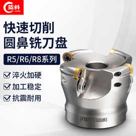 EMR刀盘 CNC数控R5/R6 50/63/80/100面铣刀盘 EMRW开粗圆鼻刀盘