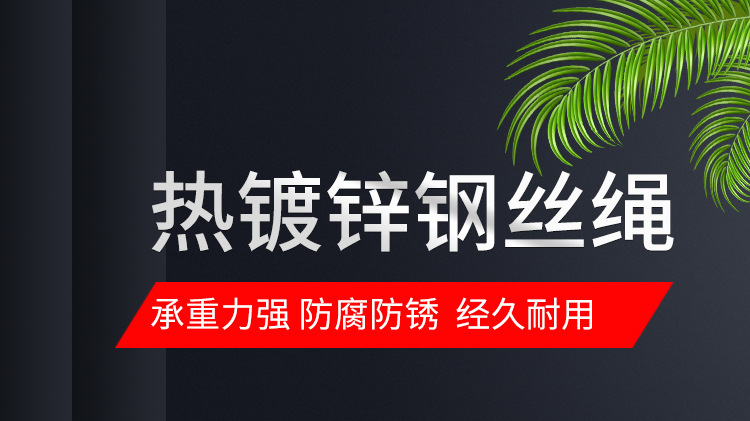 钢丝绳3详情_01.jpg