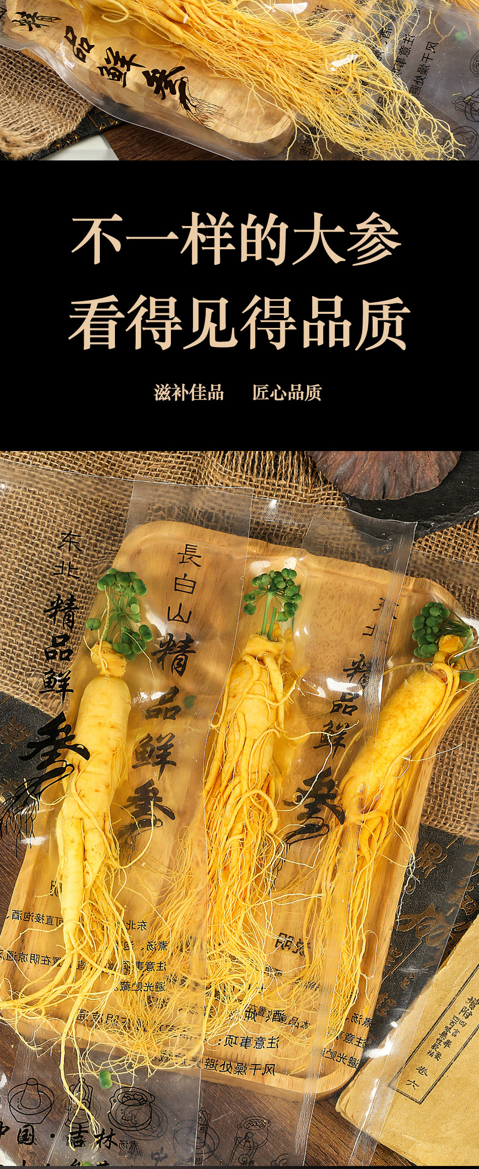 Fresh Ginseng Roots for Cooking and Herbal Soup 15g Pack of 10 Roots from Jilin quality and texture