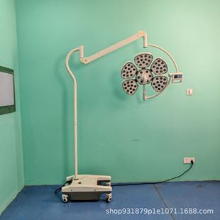Medical Surgical Shadowless Lamp Vertical Total Reflection Surgical Lamp Hospital Multi-Department Available Surgical Examination Lamp